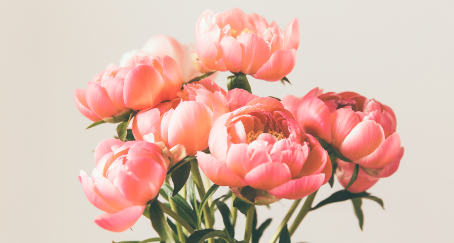 bongbong plastic surgery and dermatology in korea
