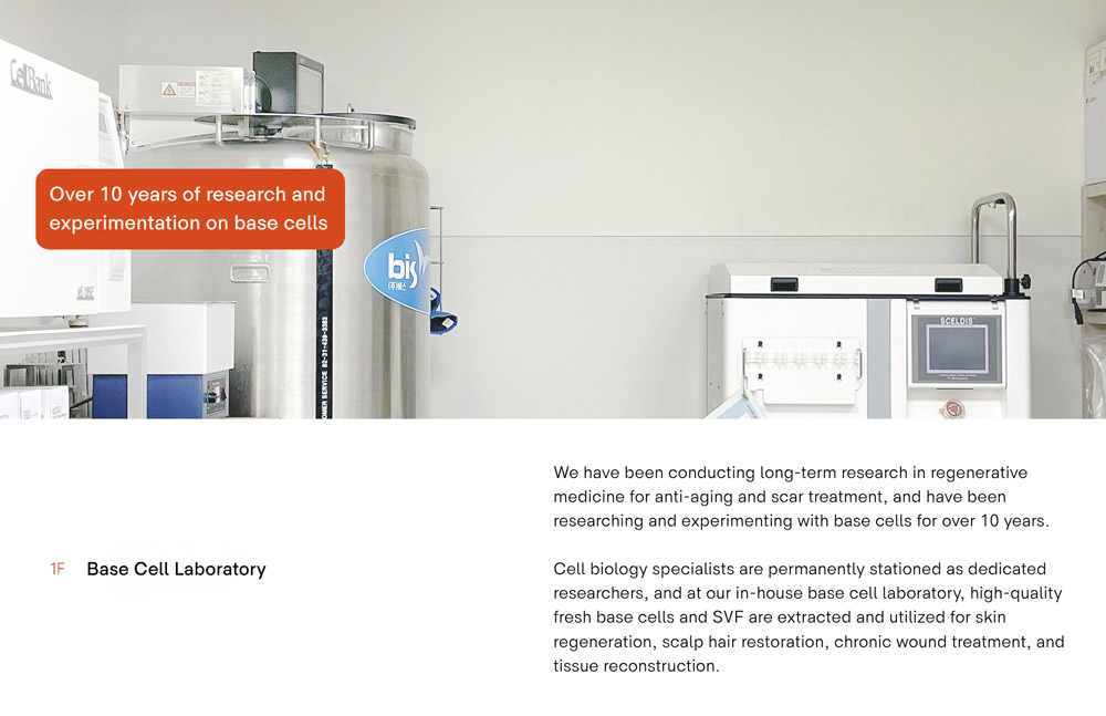 BongBong Plastic Surgery and Dermatology in Seoul, Korea