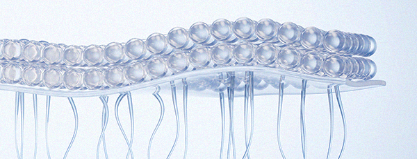 Intravenous Nutrient Therapy (IVNT) in Korea at BongBong Plastic Surgery in Seoul