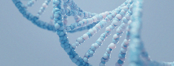 Stem Cell Treatment in Korea at BongBong Plastic Surgery in Seoul
