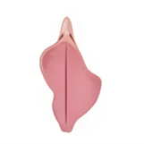 Labiaplasty in Korea at BongBong Plastic Surgery in Seoul