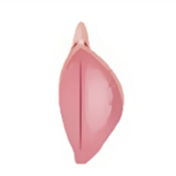 Labiaplasty in Korea at BongBong Plastic Surgery in Seoul