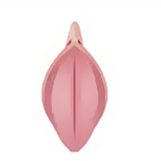 Labiaplasty in Korea at BongBong Plastic Surgery in Seoul