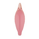 Labiaplasty in Korea at BongBong Plastic Surgery in Seoul