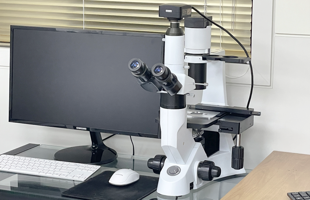 BongBong Plastic Surgery in Seoul builds on over 20 years of natural aesthetic design, its proprietary BIVOL methodology, and stem cell regenerative medicine.