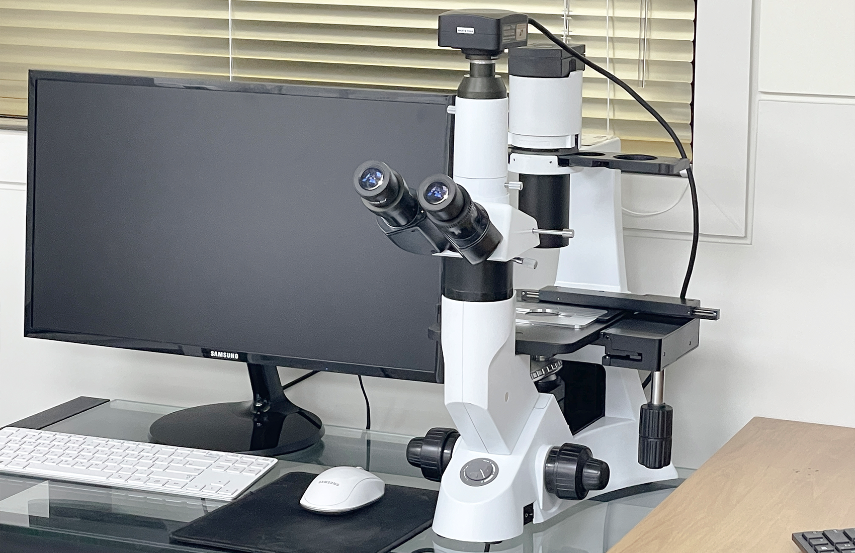 BongBong Plastic Surgery in Seoul builds on over 20 years of natural aesthetic design, its proprietary BIVOL methodology, and stem cell regenerative medicine.