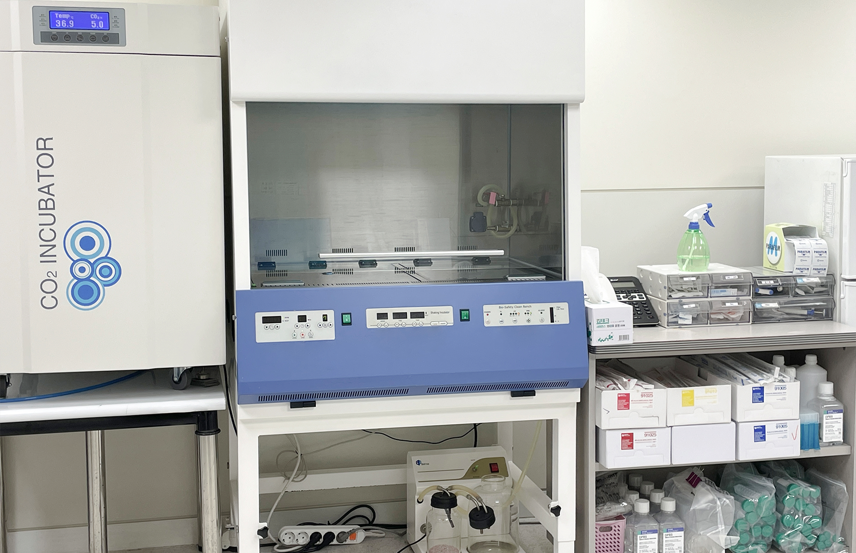 BongBong Plastic Surgery in Seoul builds on over 20 years of natural aesthetic design, its proprietary BIVOL methodology, and stem cell regenerative medicine.