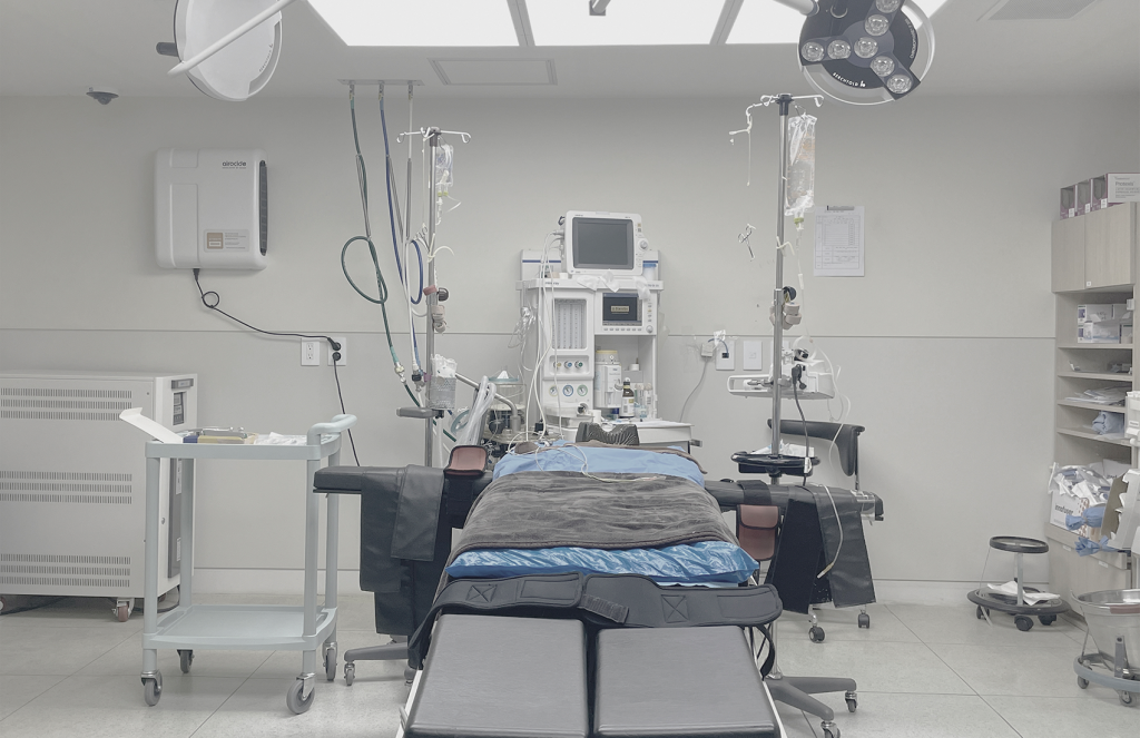 BongBong Plastic Surgery in Seoul builds on over 20 years of natural aesthetic design, its proprietary BIVOL methodology, and stem cell regenerative medicine.