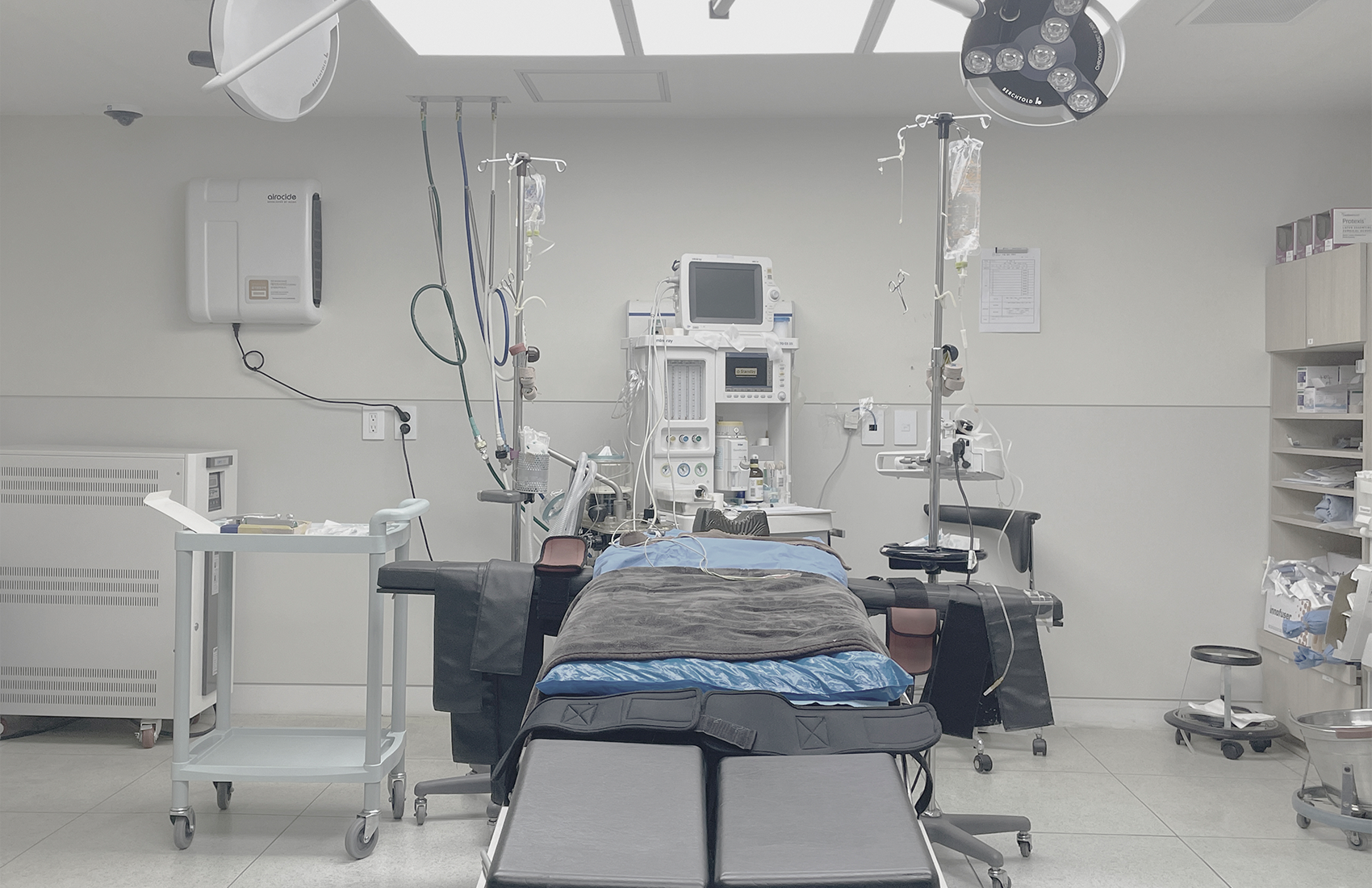 BongBong Plastic Surgery in Seoul builds on over 20 years of natural aesthetic design, its proprietary BIVOL methodology, and stem cell regenerative medicine.