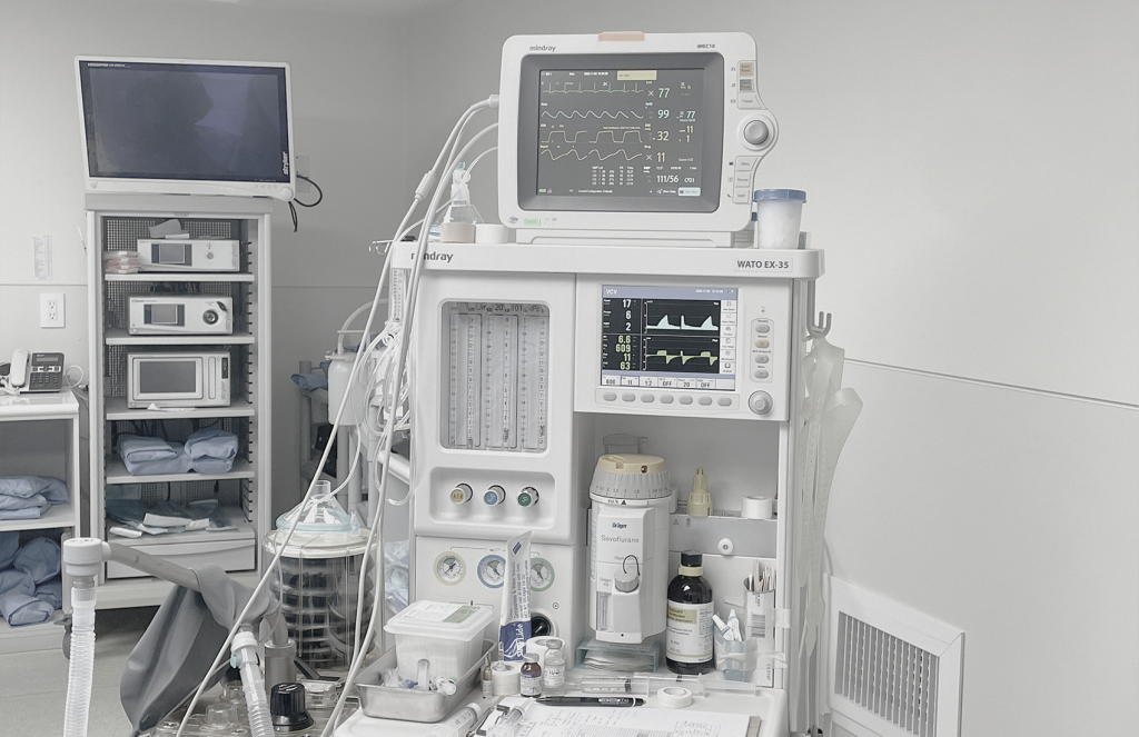 BongBong Plastic Surgery in Seoul builds on over 20 years of natural aesthetic design, its proprietary BIVOL methodology, and stem cell regenerative medicine.
