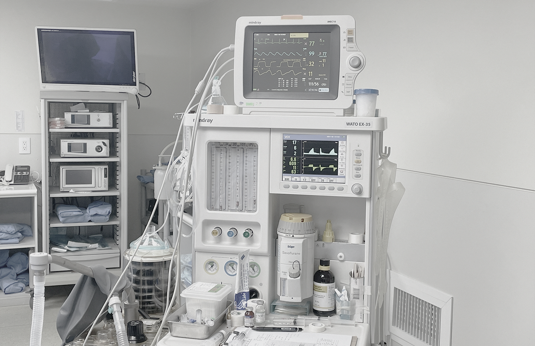 BongBong Plastic Surgery in Seoul builds on over 20 years of natural aesthetic design, its proprietary BIVOL methodology, and stem cell regenerative medicine.